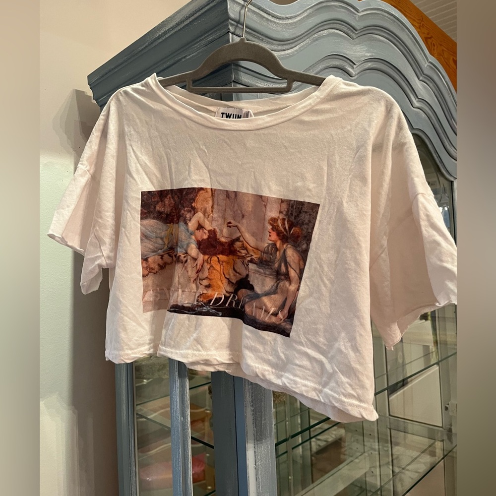 Angel and dreams crop top